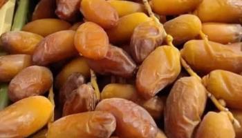 التمر التونسي