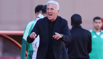 بيتكوفيتش مدرب منتخب الجزائر