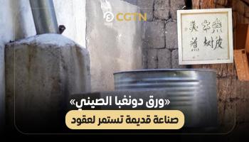 «ورق دونغبا الصيني» صناعة قديمة تستمر لعقود