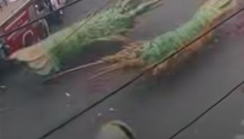 عرض بحري طريف في شانتو الصينية