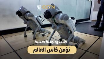 "كلاب روبوتية" صينية تؤمن كأس العالم