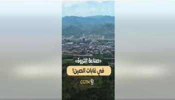صناعة الثروة في غابات الصين من عسل النحل