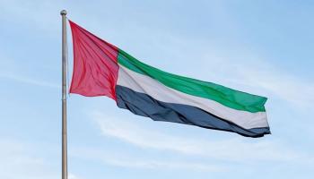 علم دولة الإمارات - أرشيفية
