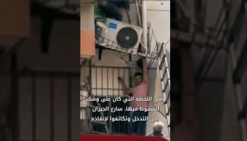 تعاون الجيران ينقذ مسنًا صينيًا بعد سقوطه من نافذة منزله