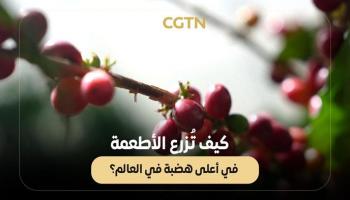 كيف تُزرع الأطعمة في أعلى هضبة في العالم؟