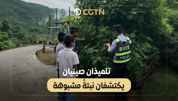  تلميذان صينيان يكتشفان نبتةً مشبوهة