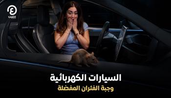 الفئران "تعشق" السيارات الكهربائية