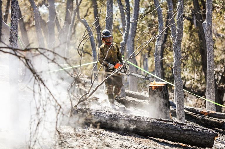 سحابة من الدخان الناجم عن حريق غابات كاليفورنيا