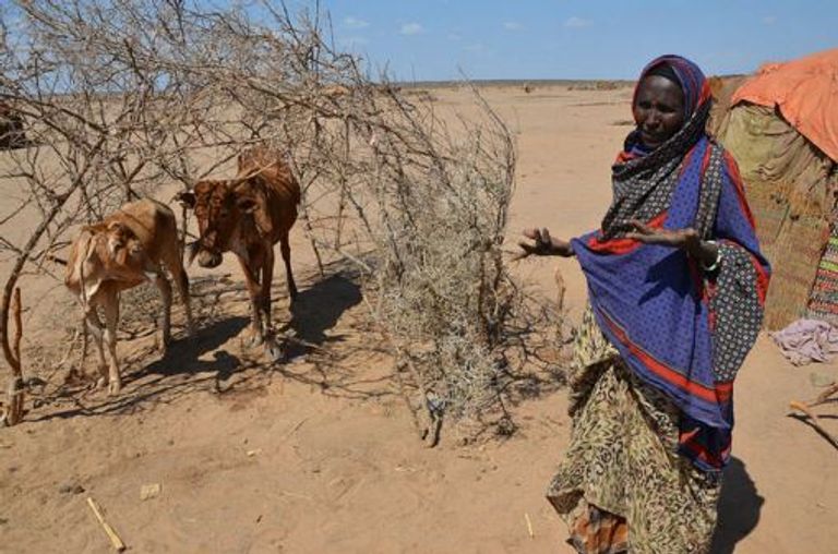  أزمات عالمية