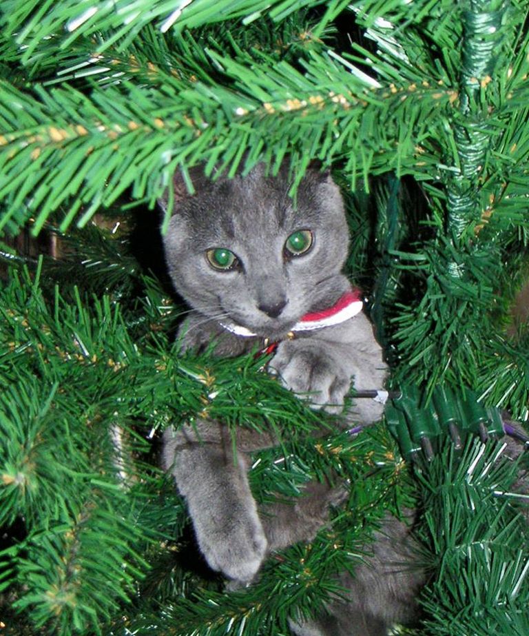 ريتشارد سوندرز 