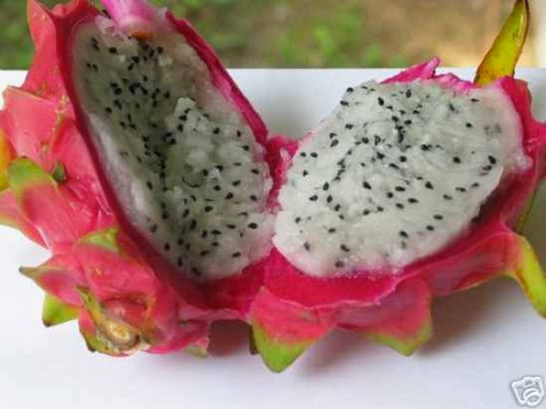 Тайский фрукт Драконий глаз. Гилоцереус - питахайя.. Экзо Драгонфрут гуанабана. Фиолетовый фрукт с белой мякотью.