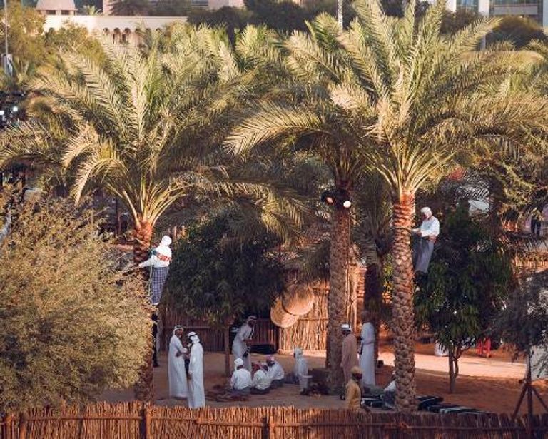 أبوظبي في لقطة جوية قبل 40 سنة ويظهر قصر الحصن