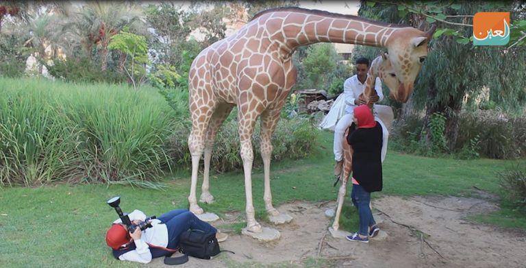 نهلة الشامي 