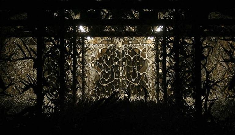 15 ألفًا من القرون والجماجم تم جمعها على مدى 60 عامًا