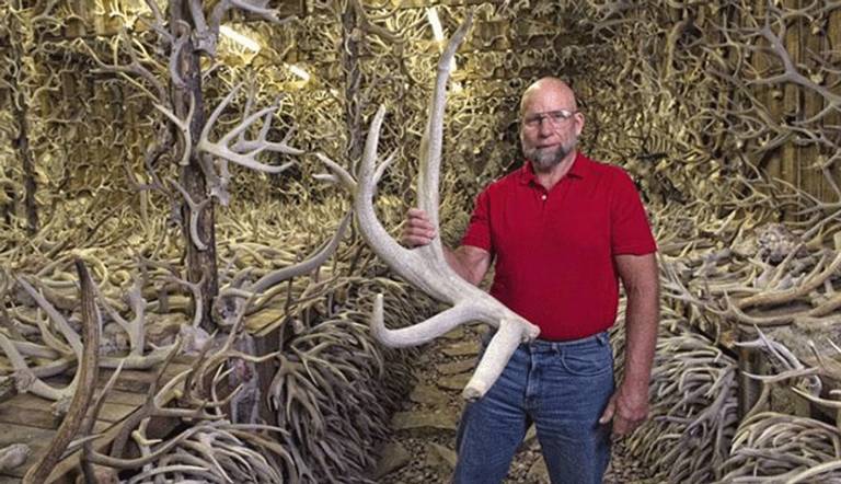15 ألفًا من القرون والجماجم تم جمعها على مدى 60 عامًا