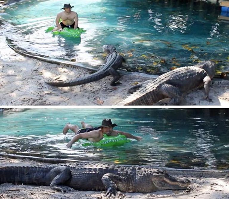 المغامر الأمريكي استخدم دمية بلاستيكية لخداع التماسيح