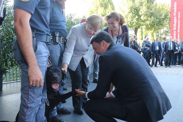 البابا يصافح الكلب ليو