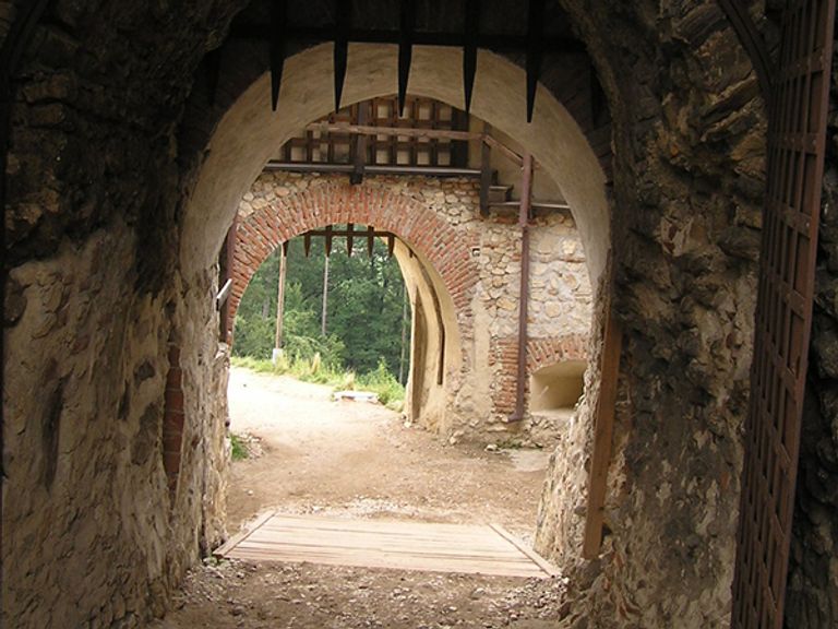 منظر عام لبلدة راشنو من أعلى القلعة