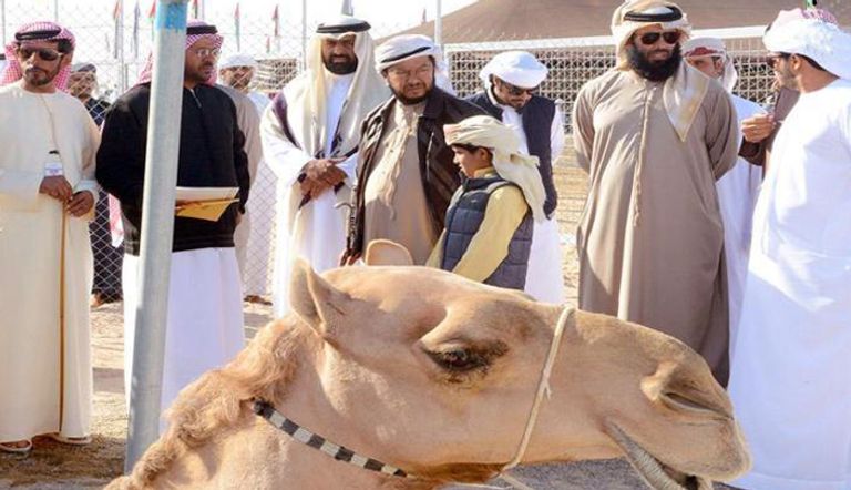 سلطان بن زايد يتوج الفائزين ويدعو لمزيد من الشفافية في تقييم مزاينات الإبل