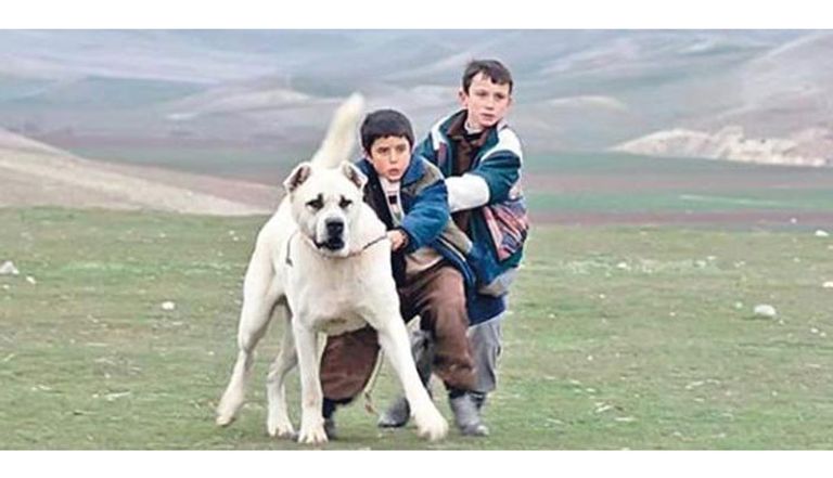 يستمر المهرجان من 11 إلى 17 ابريل الجاري