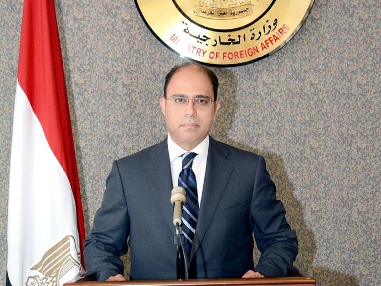 وزير الخارجية المصري ونظيره جون كيري