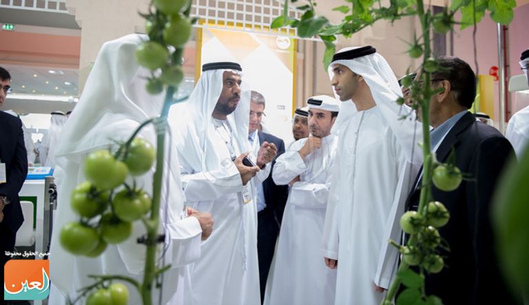 فعاليات المعرض