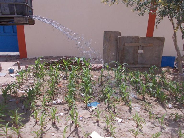 من هذه المحرقة تخرج المياه 