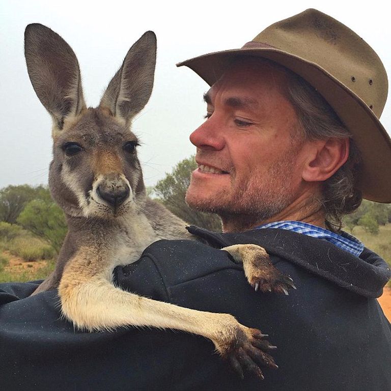 الكنغر في أستراليا