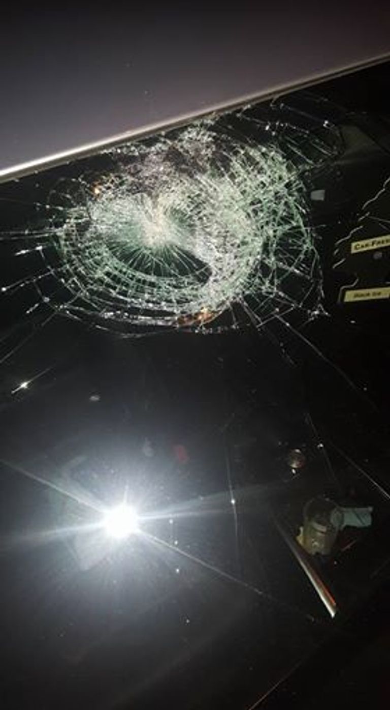 الفنانة المصرية بشرى