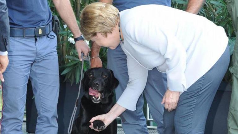 البابا يصافح الكلب ليو