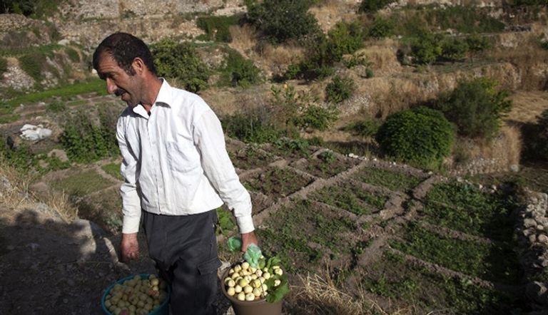 قرية بتير الفلسطينية (الصور لموقع البلد)
