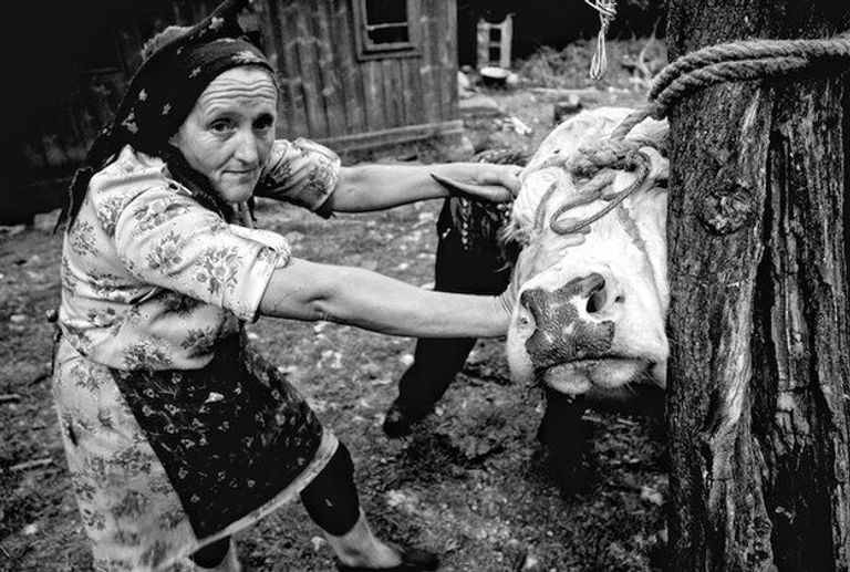 في هذه الصور نتأمل في وجوه الفلاحين والصيادين ورجال الأعمال وعمال النظافة 