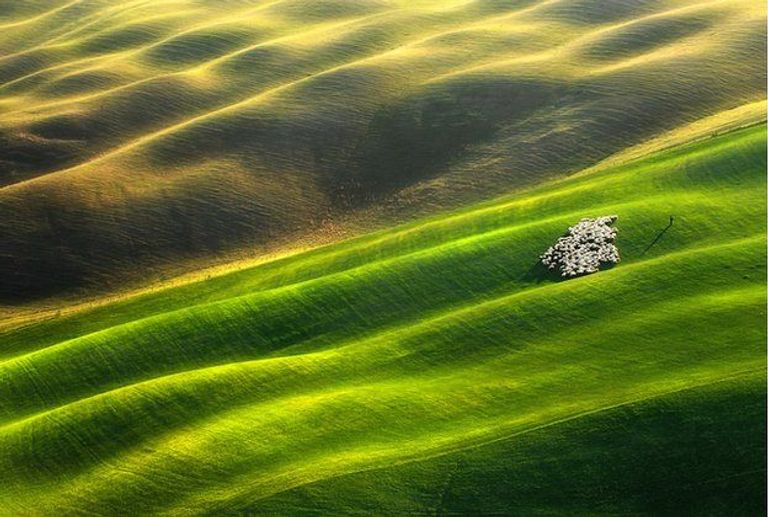 في هذه الصور نتأمل في وجوه الفلاحين والصيادين ورجال الأعمال وعمال النظافة 