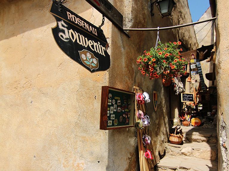 منظر عام لبلدة راشنو من أعلى القلعة