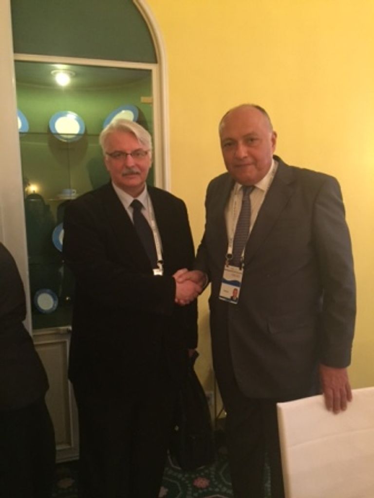 شكرى ونظيره الفرنسى