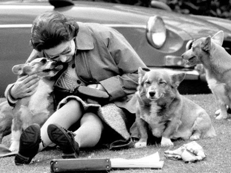 مائدة إليزابيث الثانية