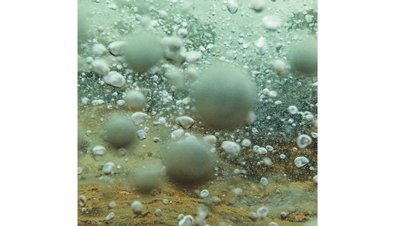 نهر أسطوري في قلب الأمازون 