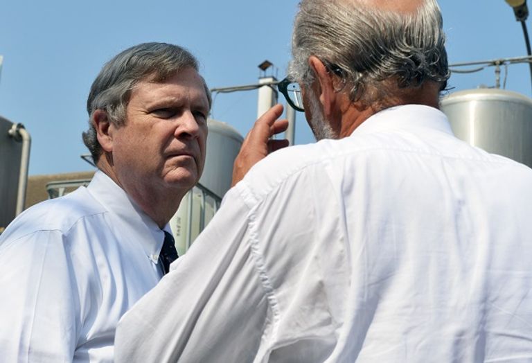 هيلاري كلينتون