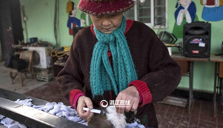 الطبيبة تنفق نحو ألف دولار شهريا على الحيوانات 