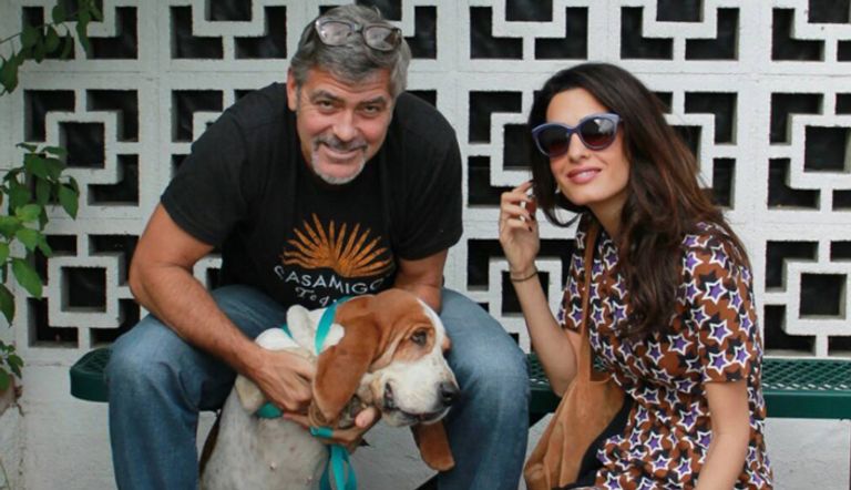 أمل كلوني وحراستها الشخصية الجديدة