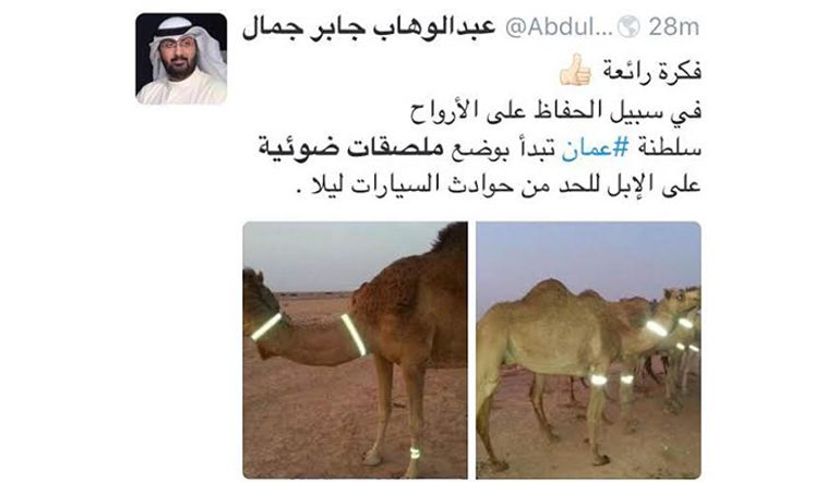 الأسورة المضيئة على رقاب الإبل