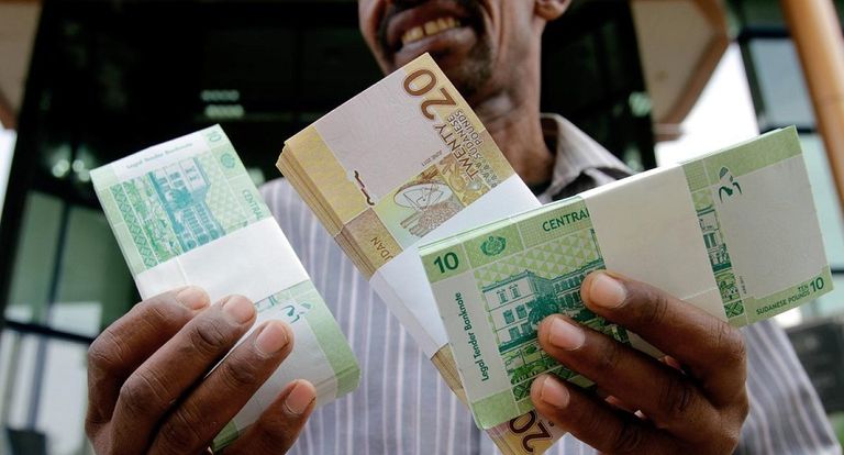 الجنيه السوداني يهبط أمام الدولار