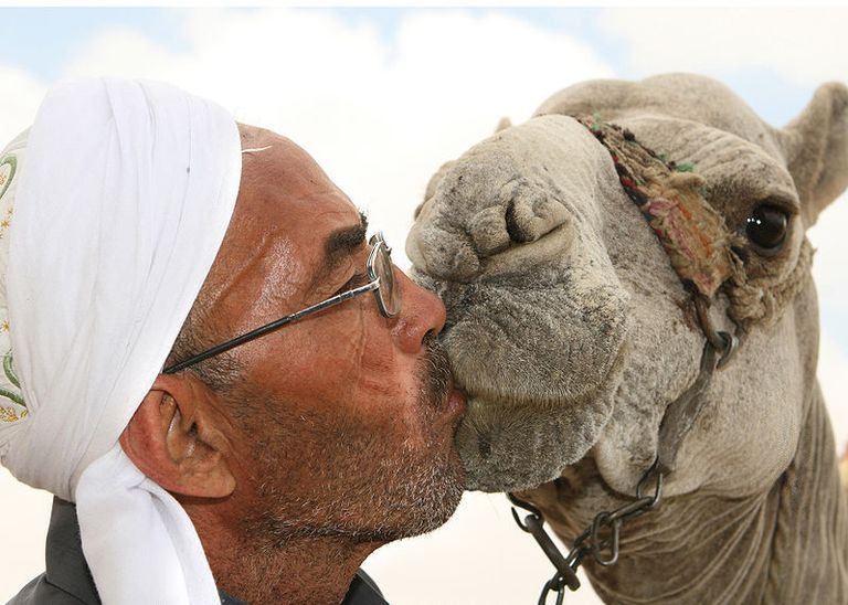 سعوديون يتعمّدون تقبيل الإب لتبرئتها من 