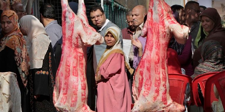 ارتفاع اسعار اللحوم في مصر 