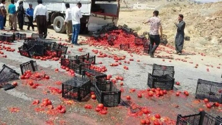 مواطنون عراقيون يعدمون أطنان من طماطم إيران