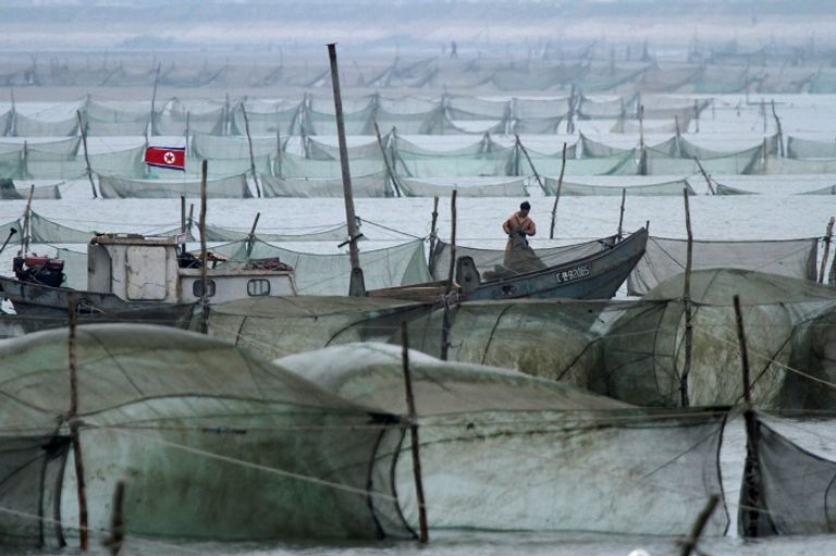 مراكب للصيد في نهر بكوريا الشمالية (ا ف ب) 