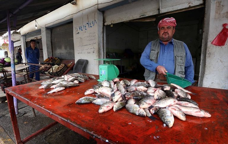 بائع أسماك في مدينة الموصل العراقية (أ ف ب)