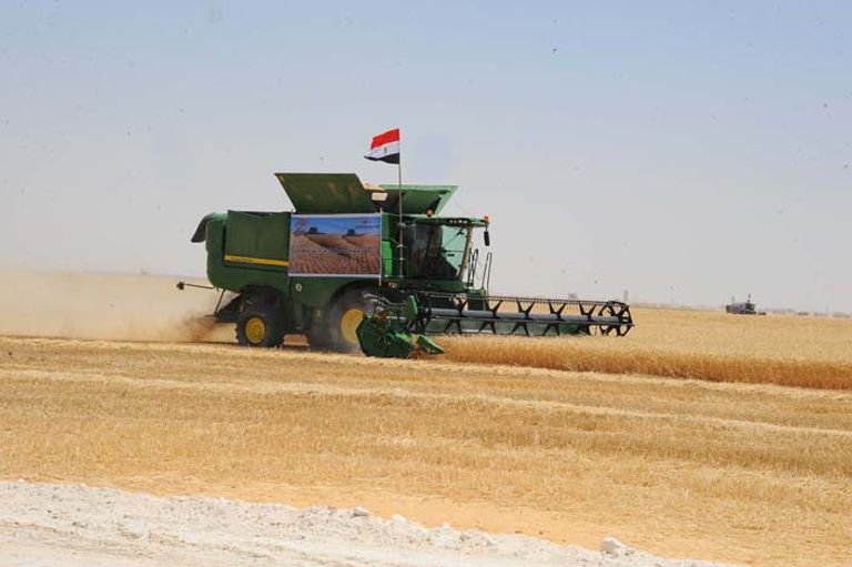 جانب من بدء موسم حصاد القمح في مصر الذي افتتحه الرئيس 