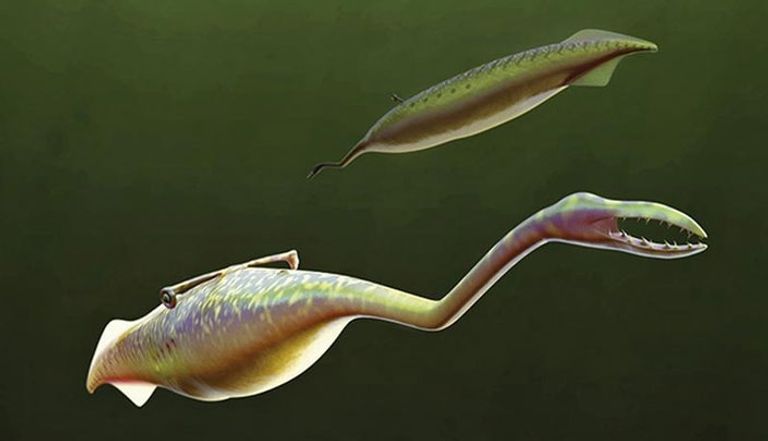 صورة مرسومة لتصور لشكل الوحش تالي قبل 300 مليون عام (رويترز)