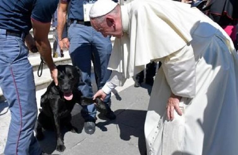 البابا يصافح الكلب ليو